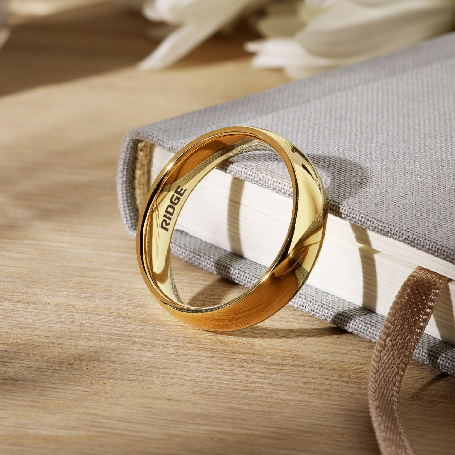 6mm Rounded Ring Set - 24K Gold - Tantalum Carbide