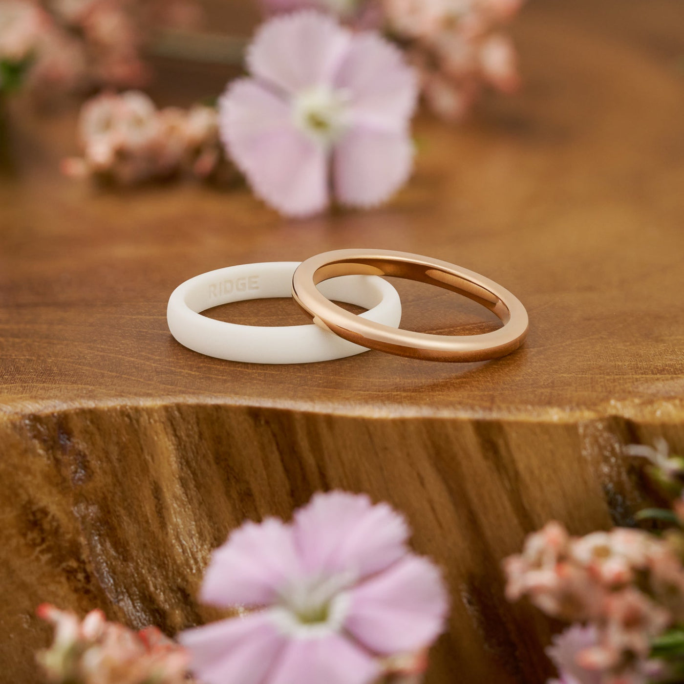 2mm Rounded Ring Set - 14K Rose Gold